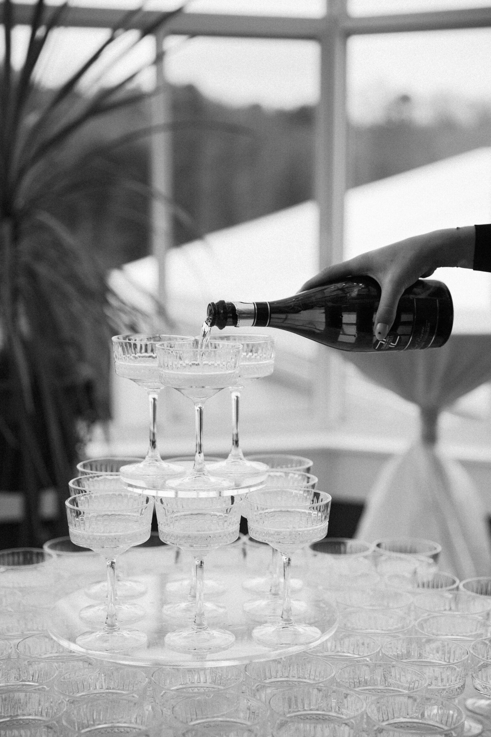 A black-and-white film photograph of a champagne tower being poured at a Dover Hall wedding in Richmond, Virginia. The delicate coupe glasses overflow with effervescent bubbles, capturing the elegance and celebration of a luxury wedding. Photographed by Caitlin Wilcox Photography, a Dover Hall wedding photographer specializing in romantic and nostalgic film imagery.