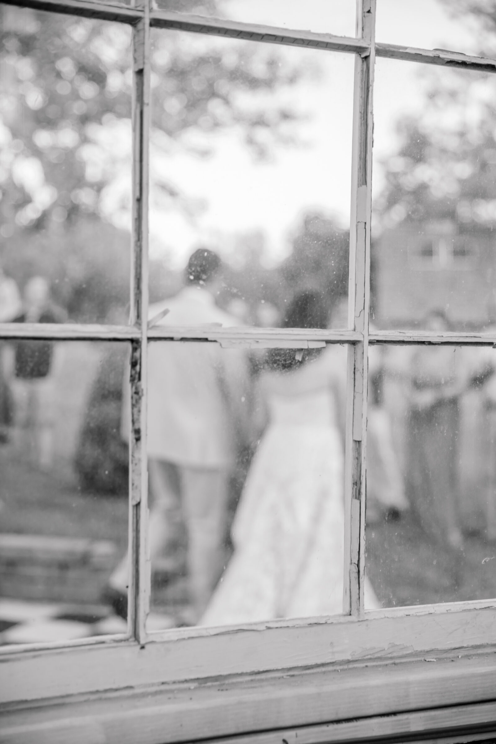 Three Oaks Manor Wedding in Madison Heights, VA | Virginia Wedding Photographer | bride and groom at their wedding reception captured through the window of the greenhouse at Three Oaks Manor