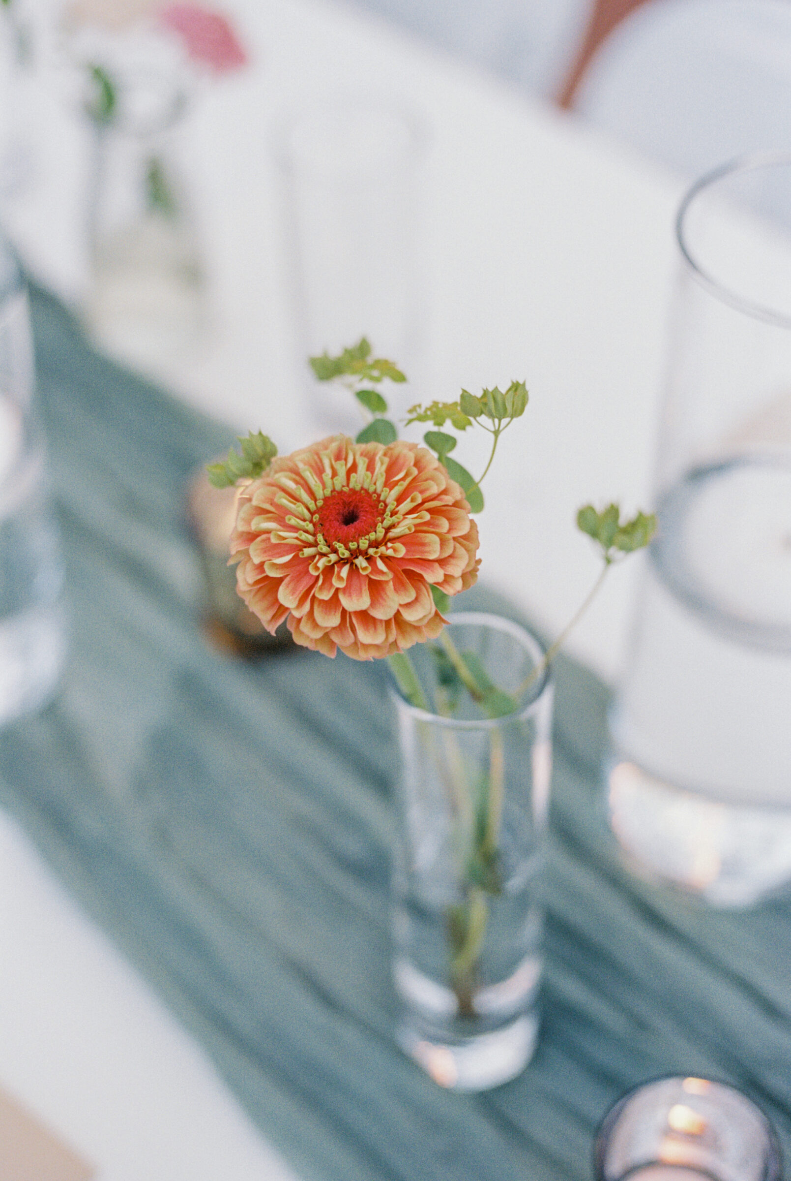 Three Oaks Manor Wedding in Madison Heights, VA | Virginia Wedding Photographer | orange flower in a bud vase