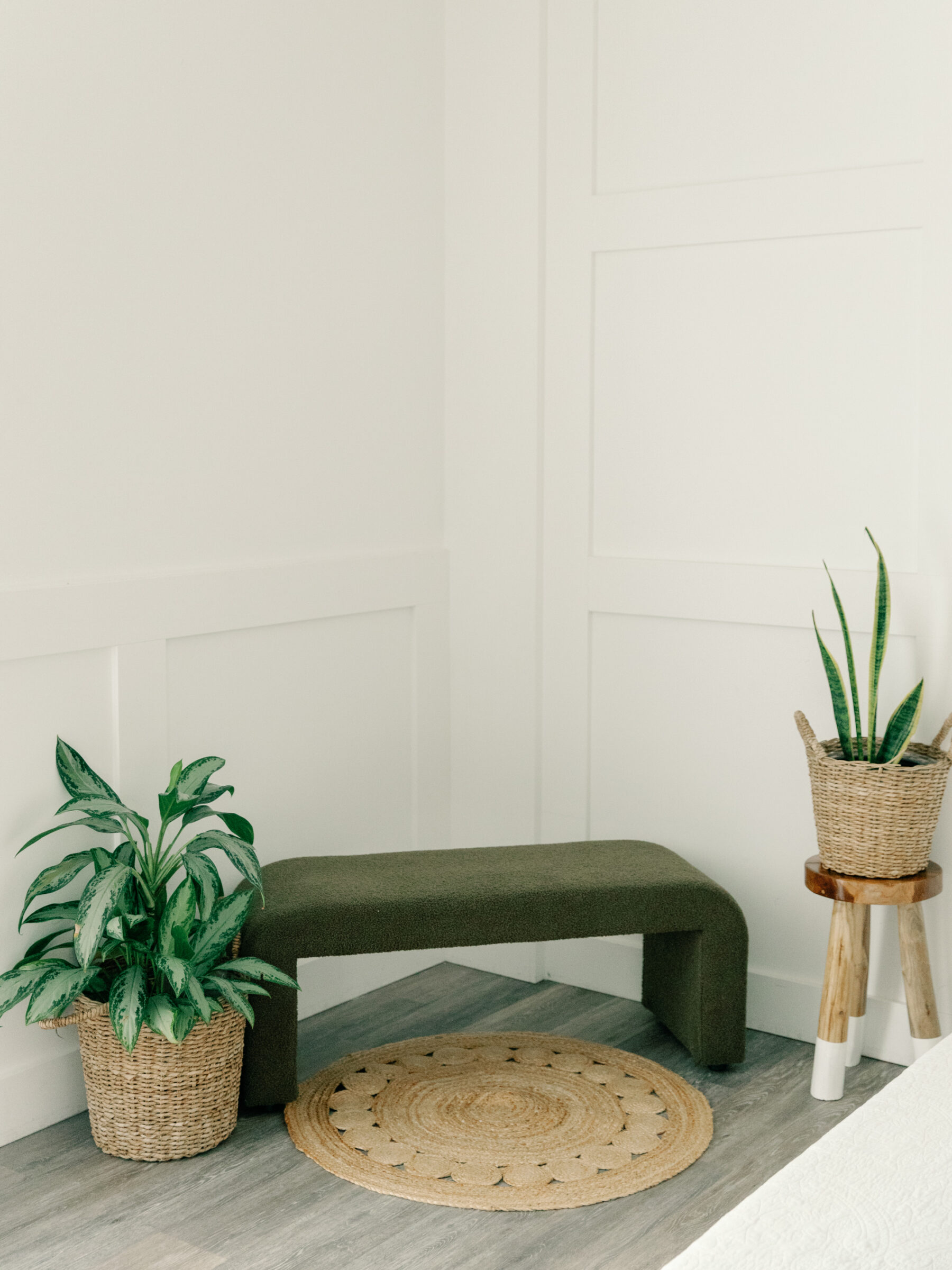 A cozy corner of Carbone Studios, a Richmond boudoir photography studio, featuring a modern olive green bench, a round woven rug, and two decorative plants in textured baskets. A tall potted snake plant stands next to a small wooden table with a woven planter, creating a minimalist yet inviting atmosphere for boudoir shoots.