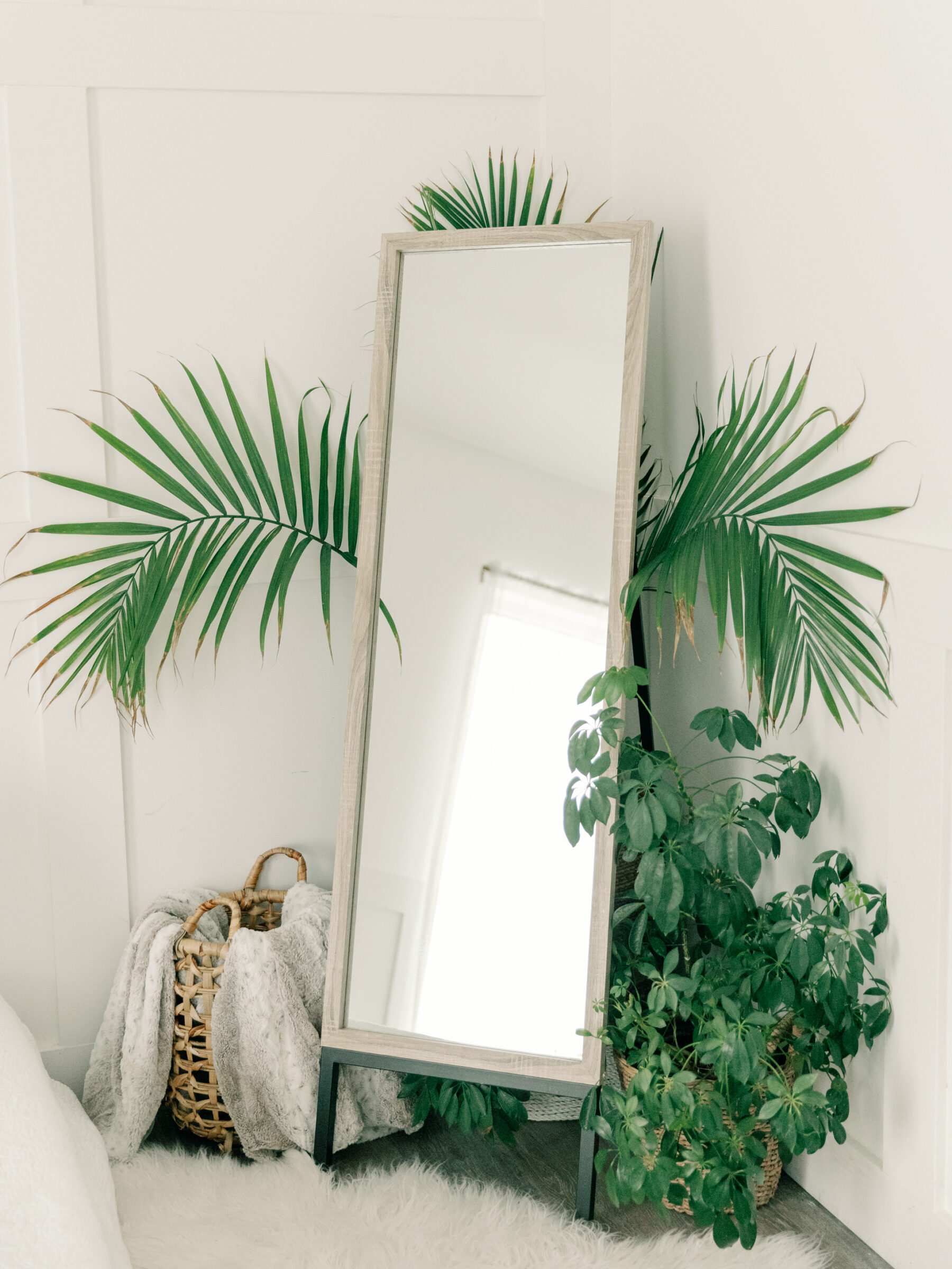 A full-length mirror leans against the wall surrounded by lush greenery at Carbone Studios, a Richmond boudoir photography studio. The plant-filled corner, featuring tropical palm fronds and cozy woven baskets with soft blankets, adds a tranquil touch to the modern, minimalist setting perfect for boudoir photo shoots.