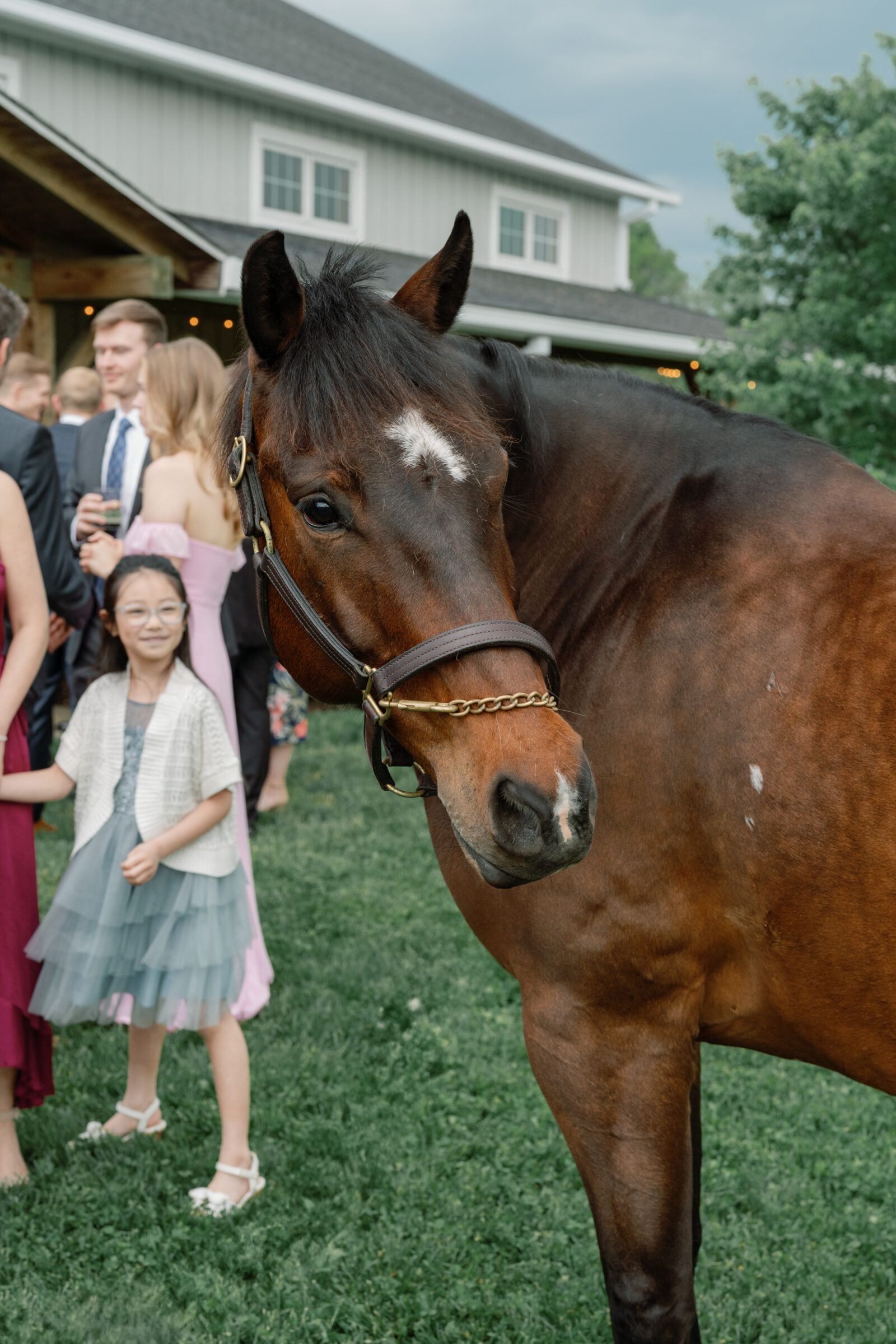A horse stands in the foreground as a young girl in a light gray dress with a cardigan holds its reins at a Middleburg Barn wedding. Guests in formal attire can be seen mingling in the background, creating a lively outdoor atmosphere.