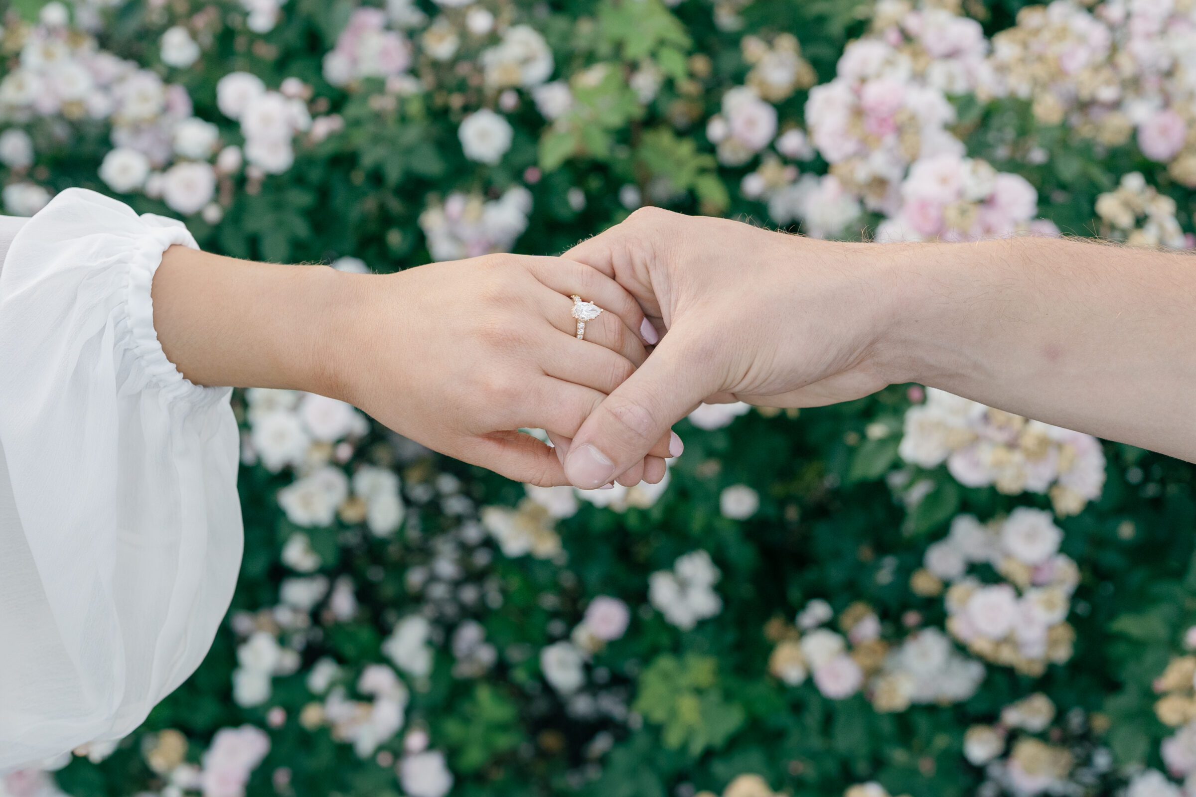 Engagement Photos at the Biltmore Estate Gardens | engagement ring on hand in front of flowers