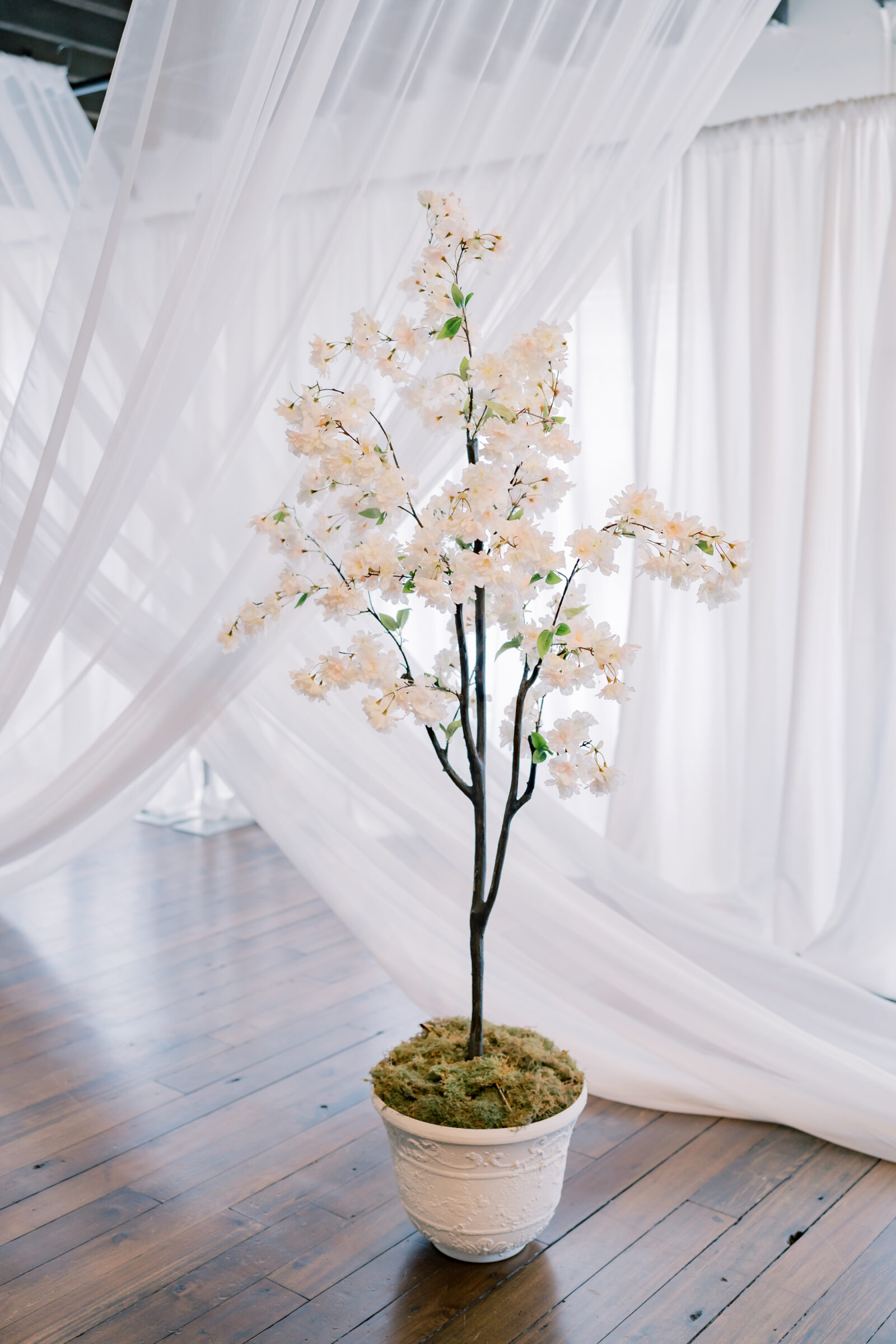 Bristol Train Station Wedding | tree and drapery for wedding ceremony