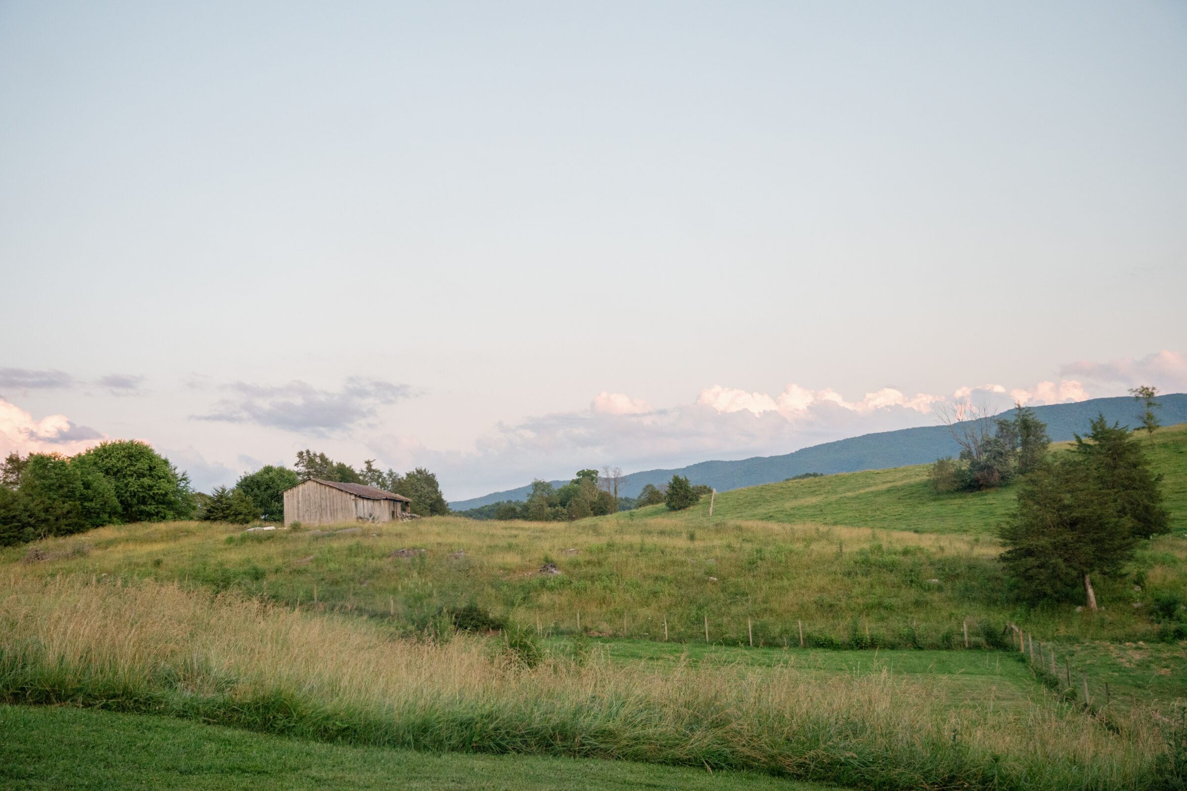 Mountain view at Full Bloom Farm in Abingdon, VA