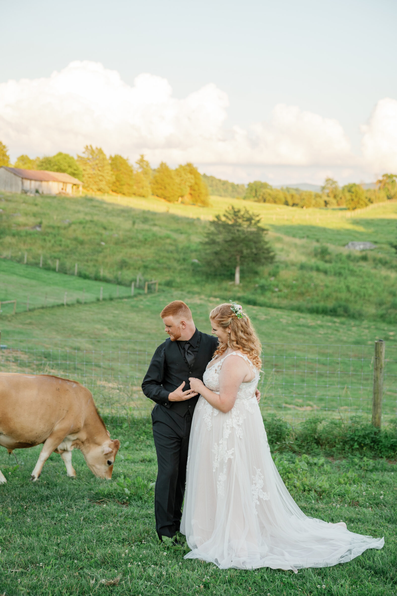 Full Bloom Farm Wedding | bride and groom look at cows