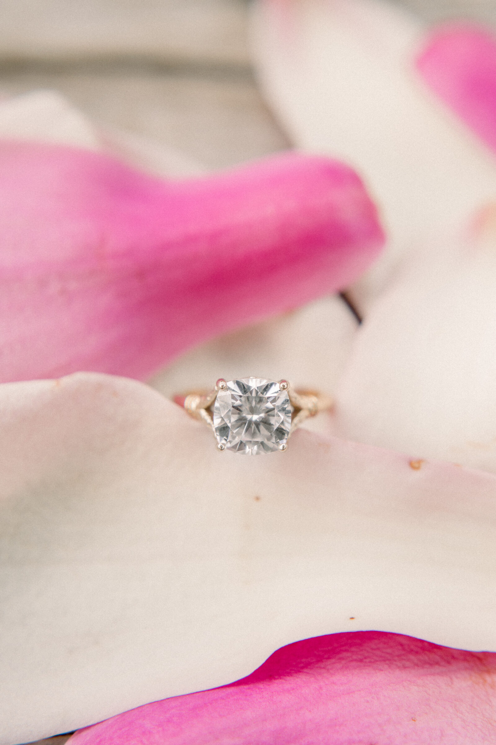 Close‑up of a sparkling diamond engagement ring nestled atop pink magnolia petals during a Maymont Park engagement session