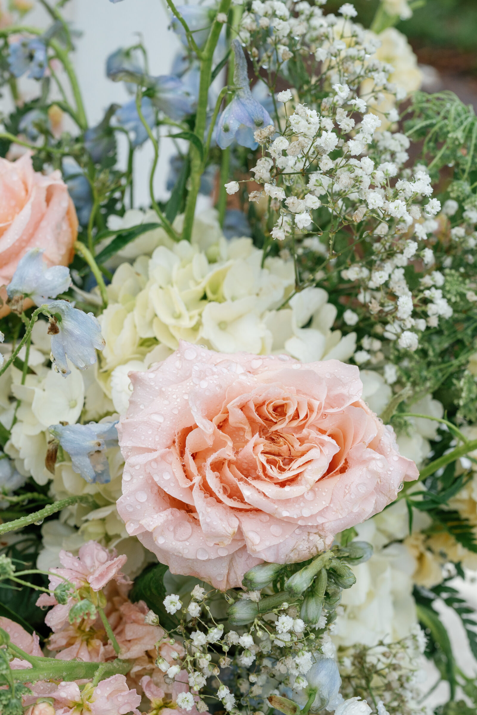 Close‑up of a dew‑kissed pastel peach garden rose surrounded by white hydrangea petals, delicate baby’s‑breath, and soft blue delphinium, capturing the morning’s gentle moisture on each bloom.
