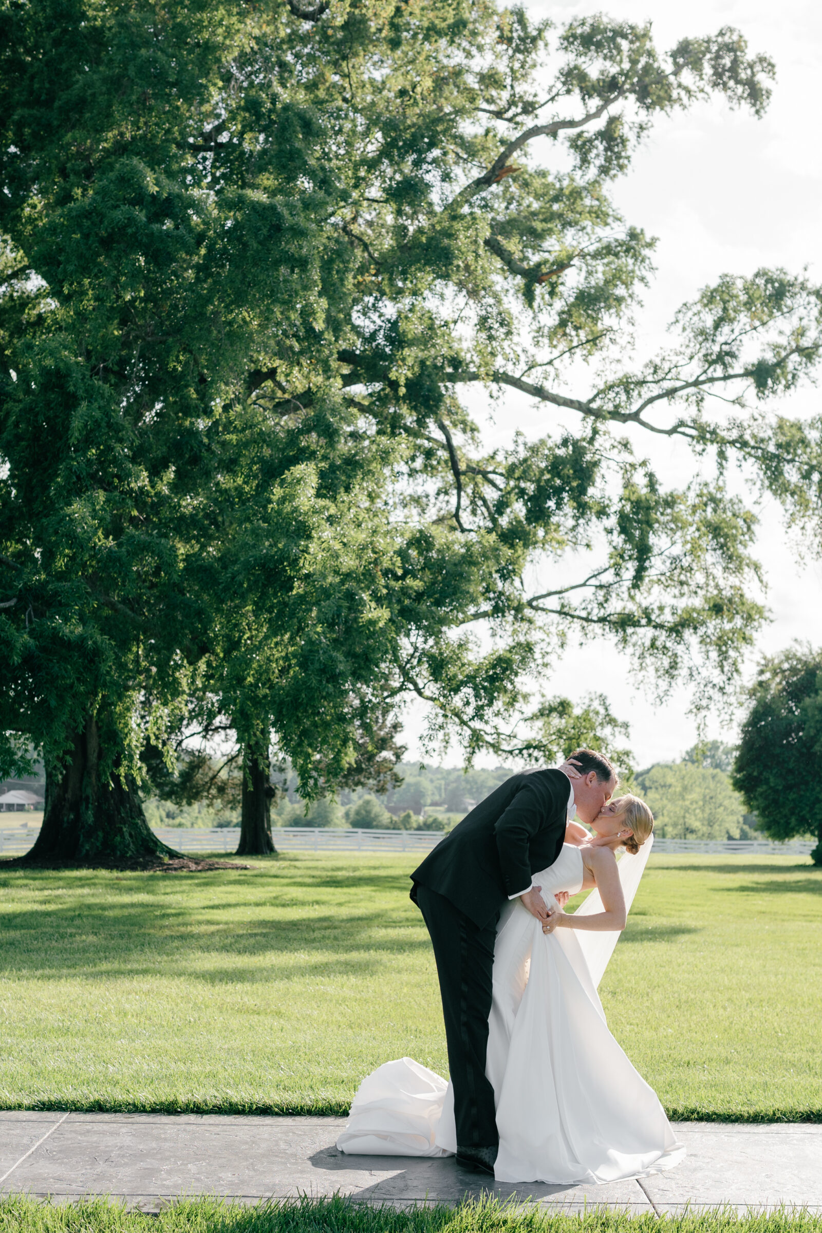 Northfield Estate Wedding - Richmond VA | The bride and groom stand under a large, spreading oak tree on a narrow concrete path bordered by green grass. He gently dips her as they share a kiss—her white strapless gown pools around them and her veil drapes softly over his shoulder, while golden light filters through the leaves overhead.