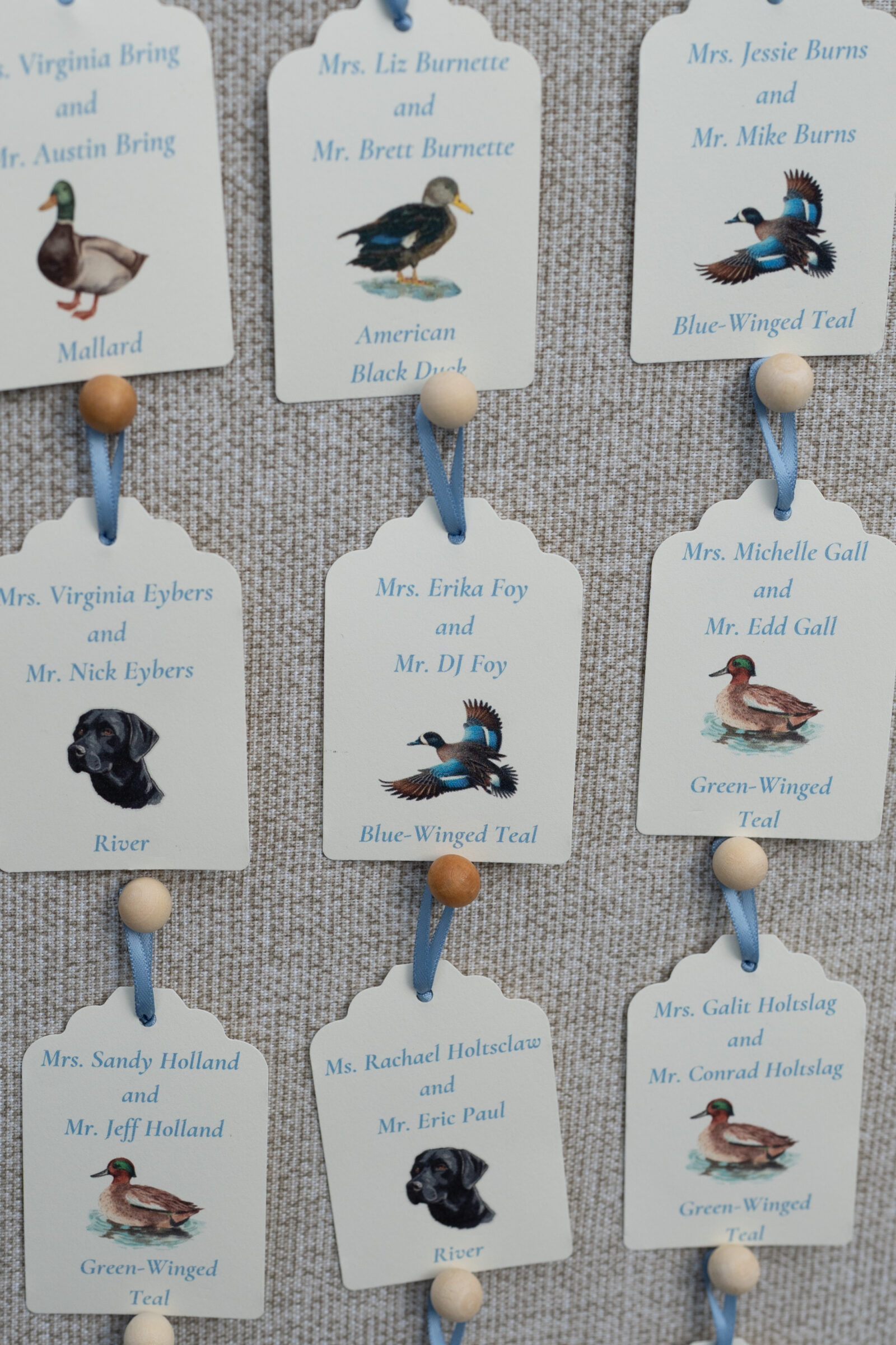 Rows of scalloped‑edge ivory tags hang from pale blue ribbons on wooden pegs against a textured neutral backdrop. Each tag features a vivid watercolor of a different duck—brilliant green‑headed mallard, deep‑blue‑winged teal, glossy American black duck, soft‑brown green‑winged teal—framing the seating assignments.