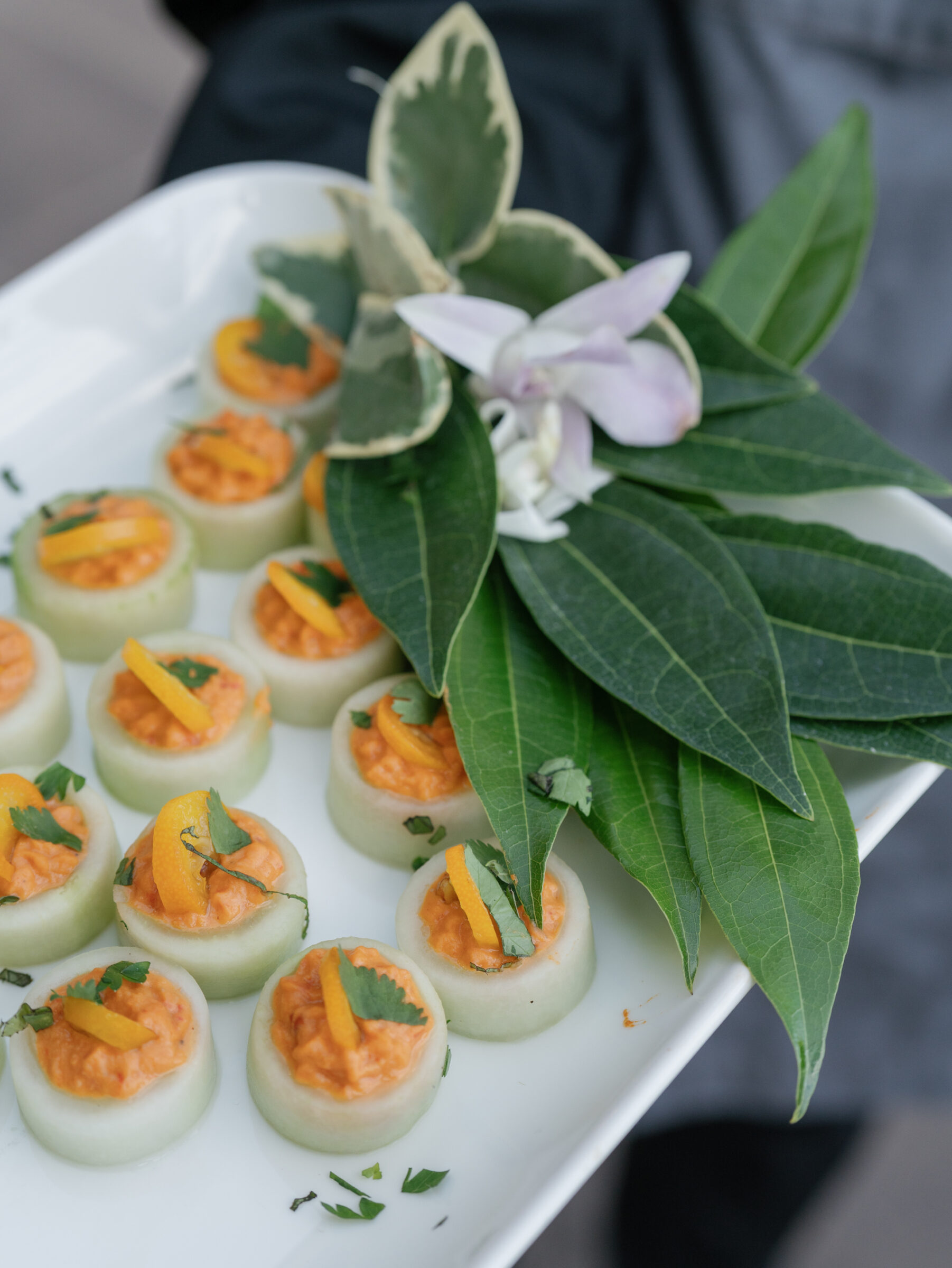 White porcelain tray of cucumber rounds filled with whipped roasted red pepper mousse and topped with thin orange zest strips and fresh herbs, styled alongside variegated and green foliage at a Trump Winery Wedding in Charlottesville