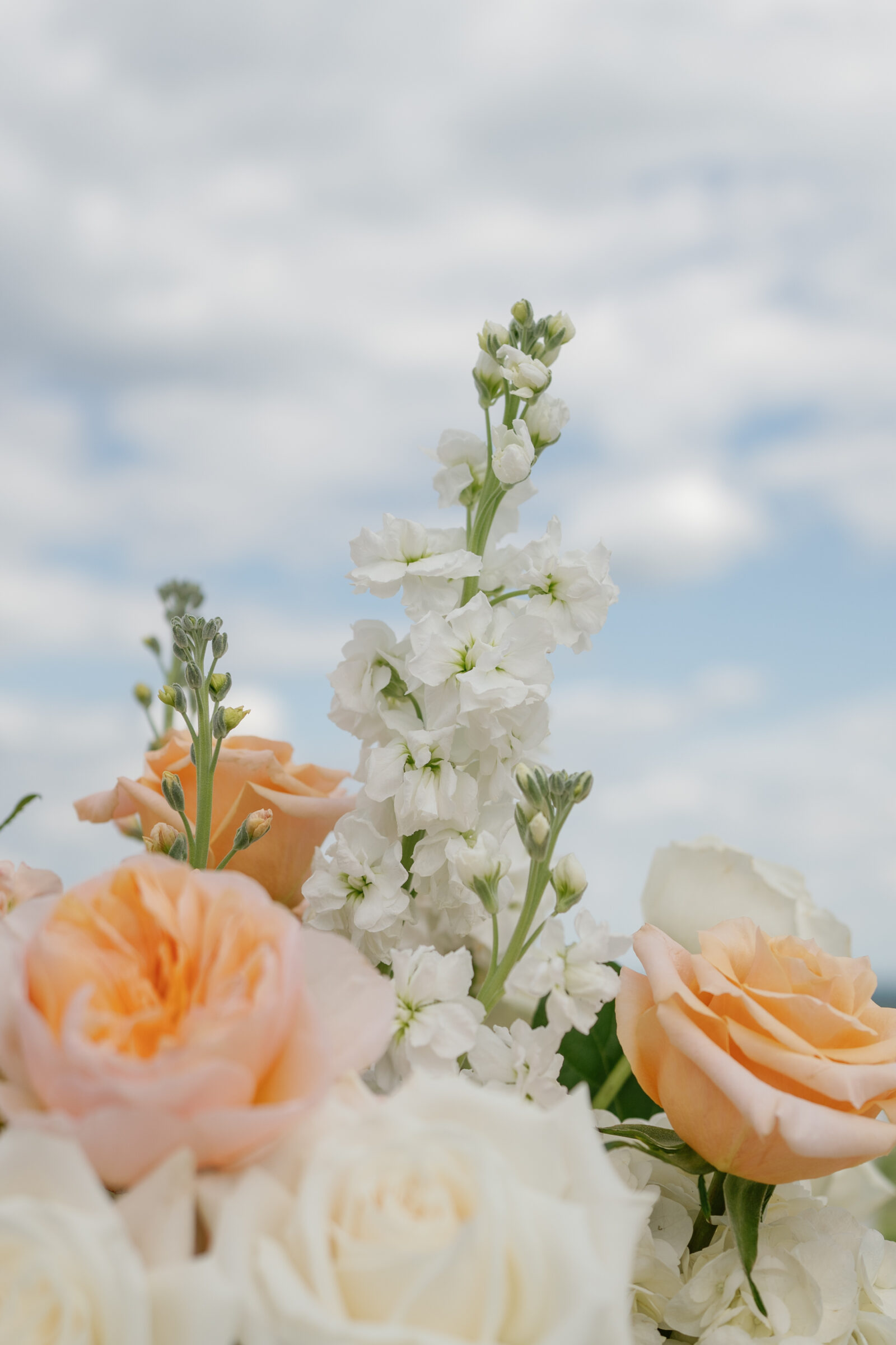 Romantic wedding flowers with peach roses, white stock, and ivory blooms arranged for a ceremony in Northern Virginia.