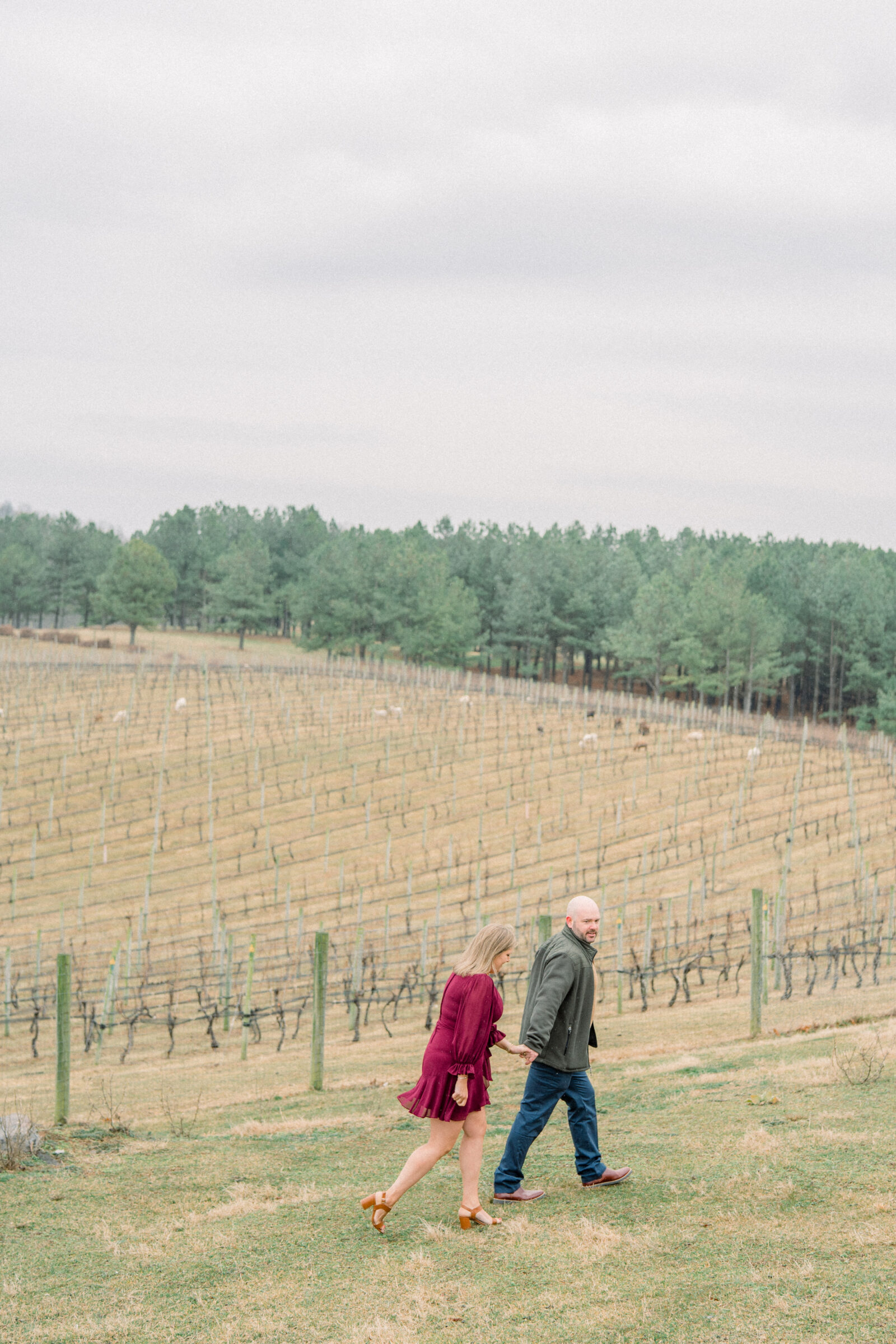 Couple walking hand in hand through the winter vineyards at Blue Valley Vineyard in Delaplane VA before their bourbon burying ceremony, with rolling rows of vines and mountain views in the background.