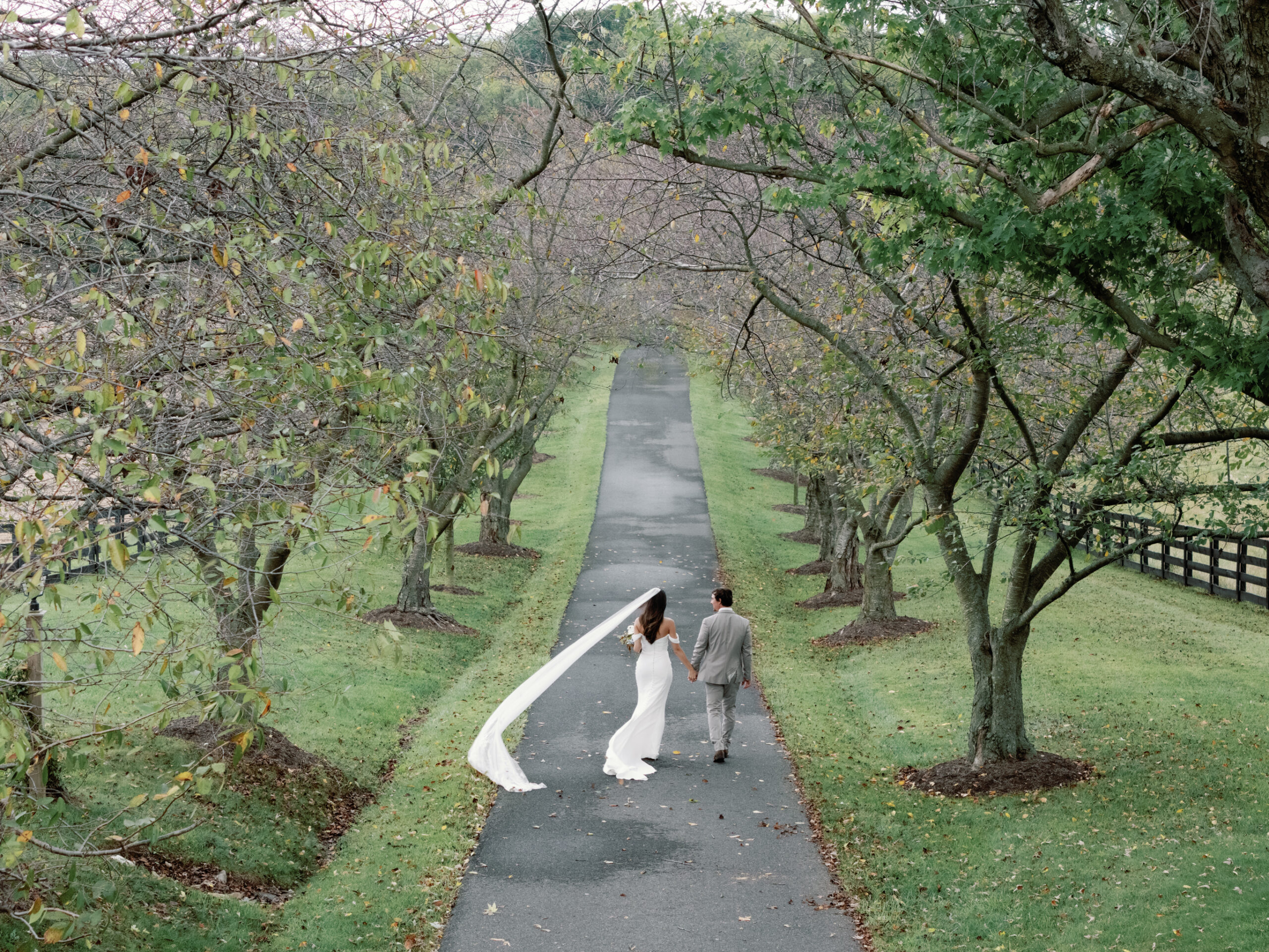 Bride and groom walking hand in hand beneath tree-lined path with flowing veil at Red August Farm wedding in Waynesboro VA