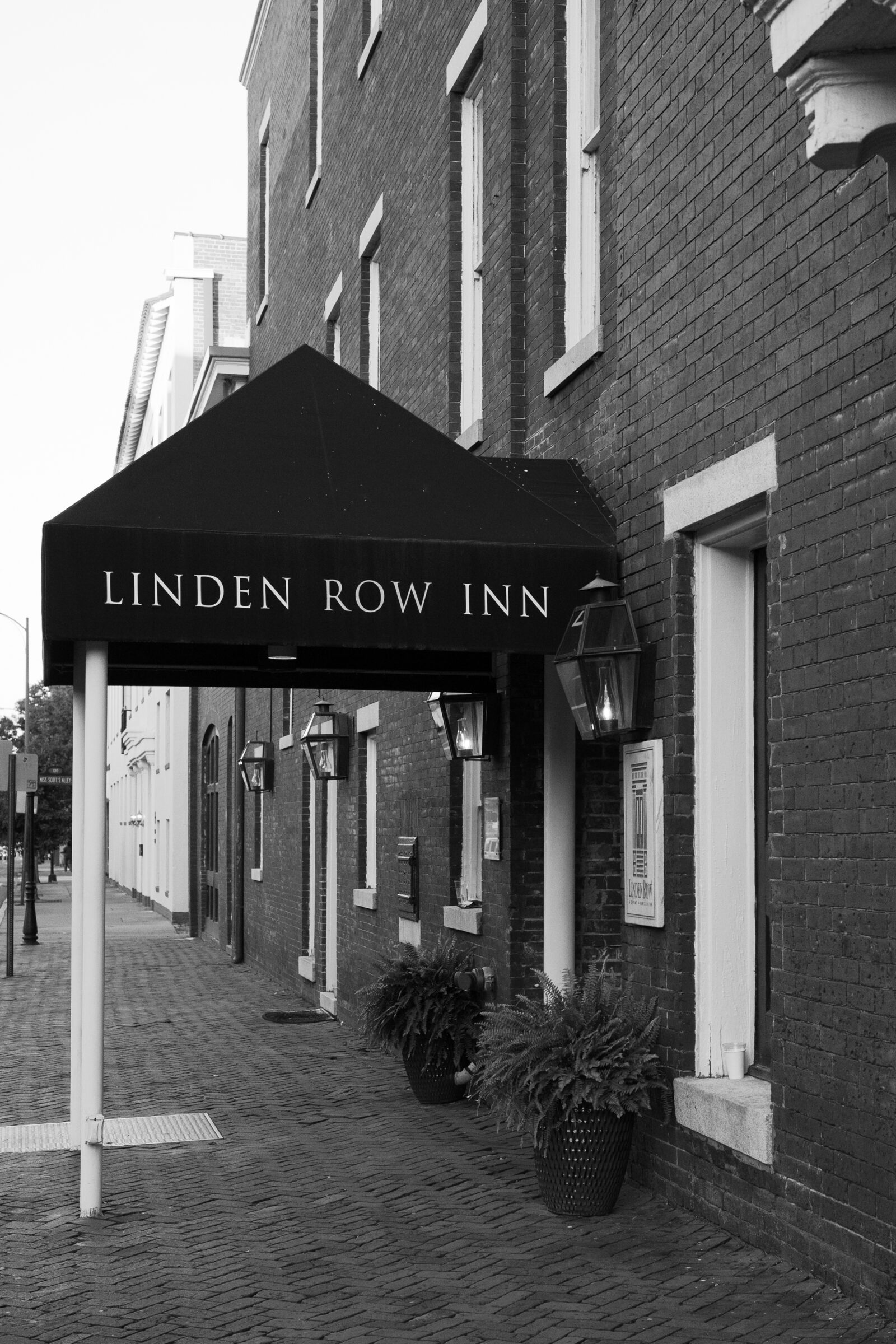 The exterior entrance to Linden Row Inn in Richmond VA, featuring the black awning, brick façade, classic lantern-style lighting, and potted ferns along the sidewalk.