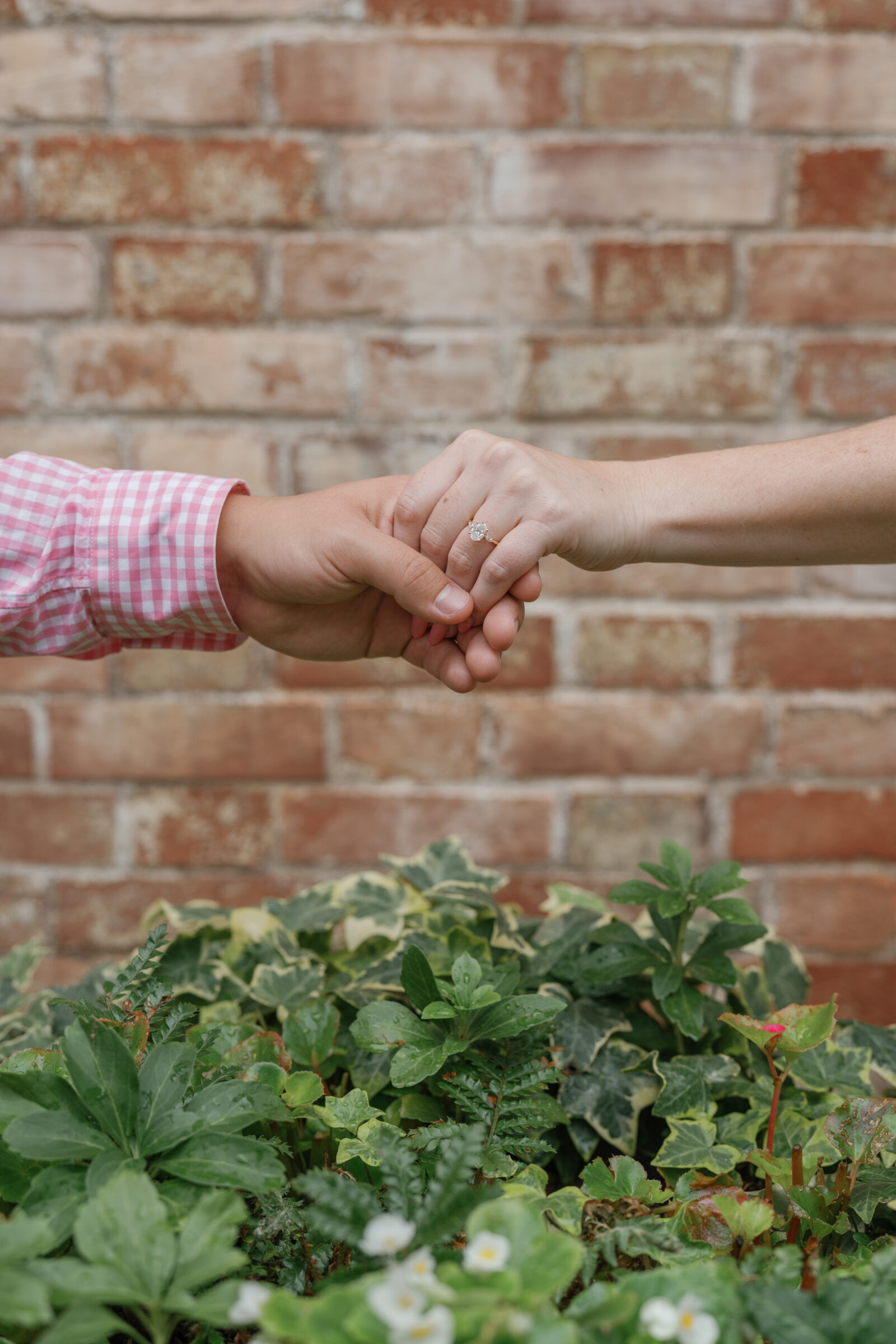 Close-up of a couple holding hands, highlighting the engagement ring against a brick wall and greenery.