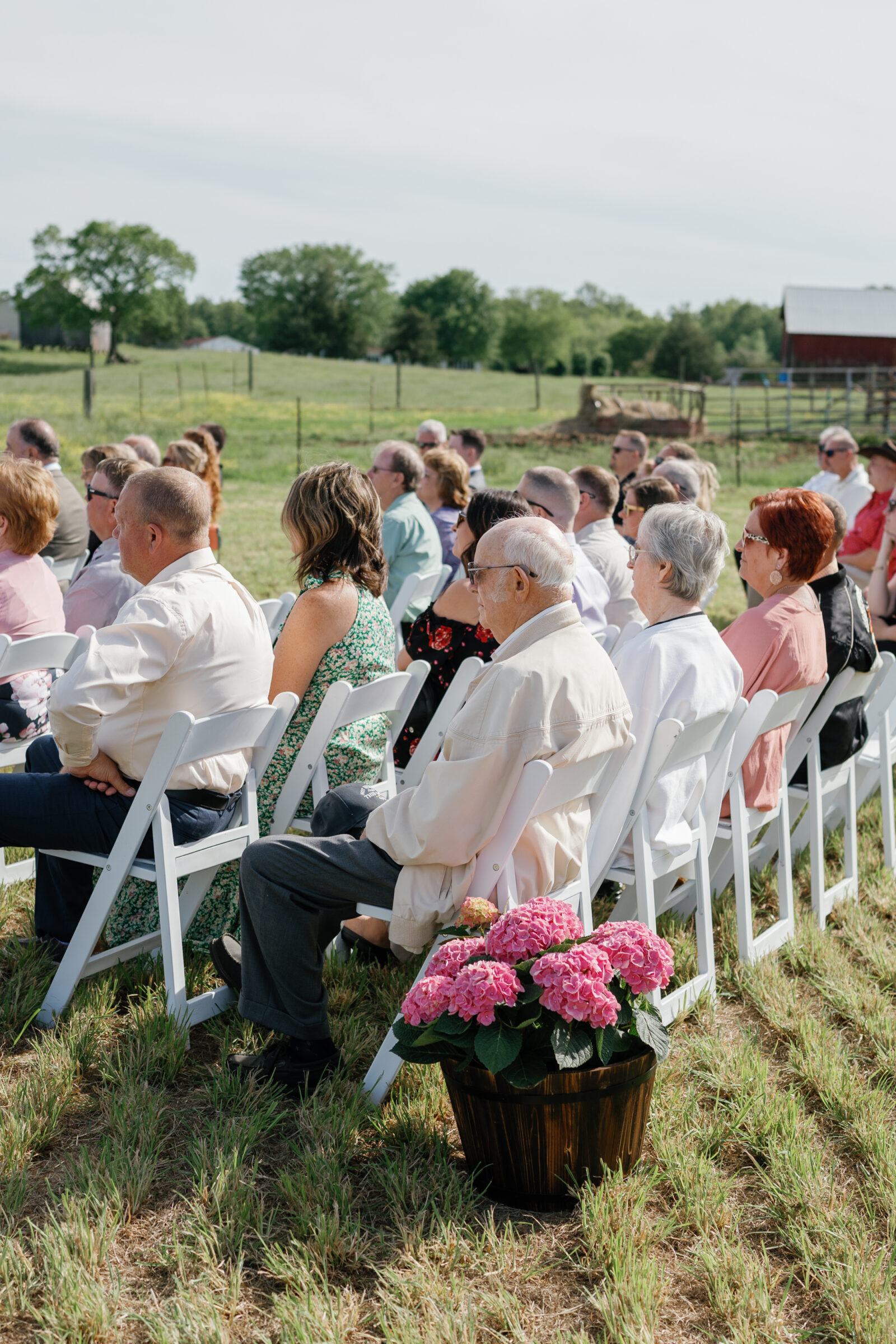Wedding guests seated in white chairs during an outdoor ceremony on a family farm, with pink hydrangeas decorating the aisle.