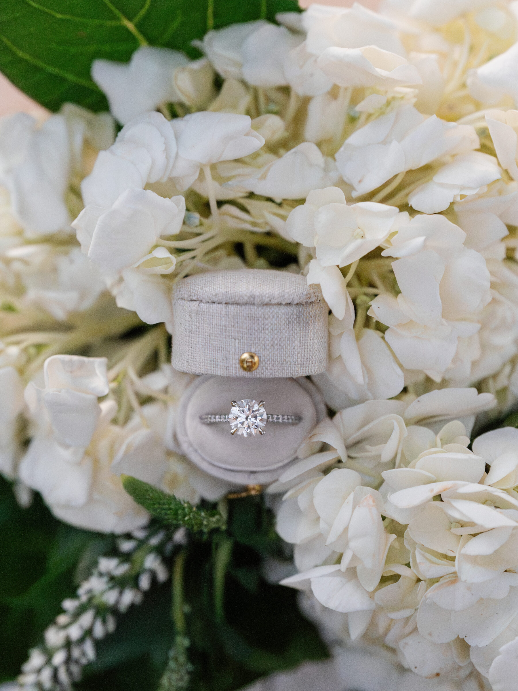 A diamond engagement ring displayed in a linen ring box nestled among soft white hydrangeas during a Libby Hill Park engagement session.