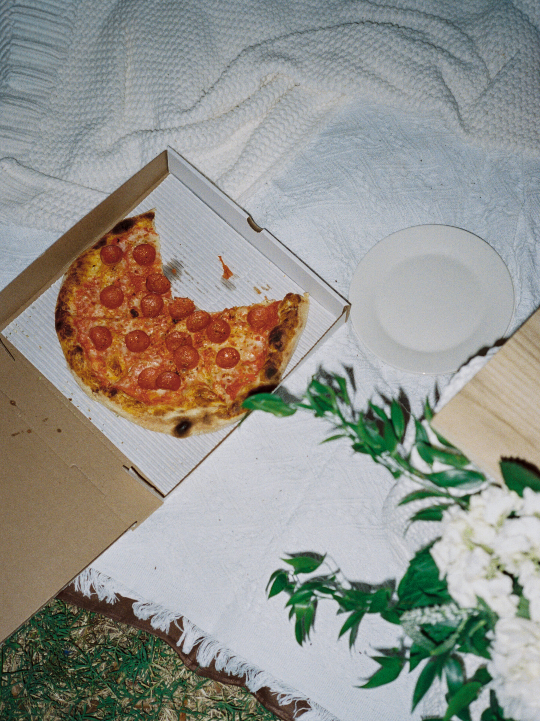 A film-style detail of a pepperoni pizza box open on a picnic blanket at Libby Hill Park, with greenery and white flowers arranged nearby.