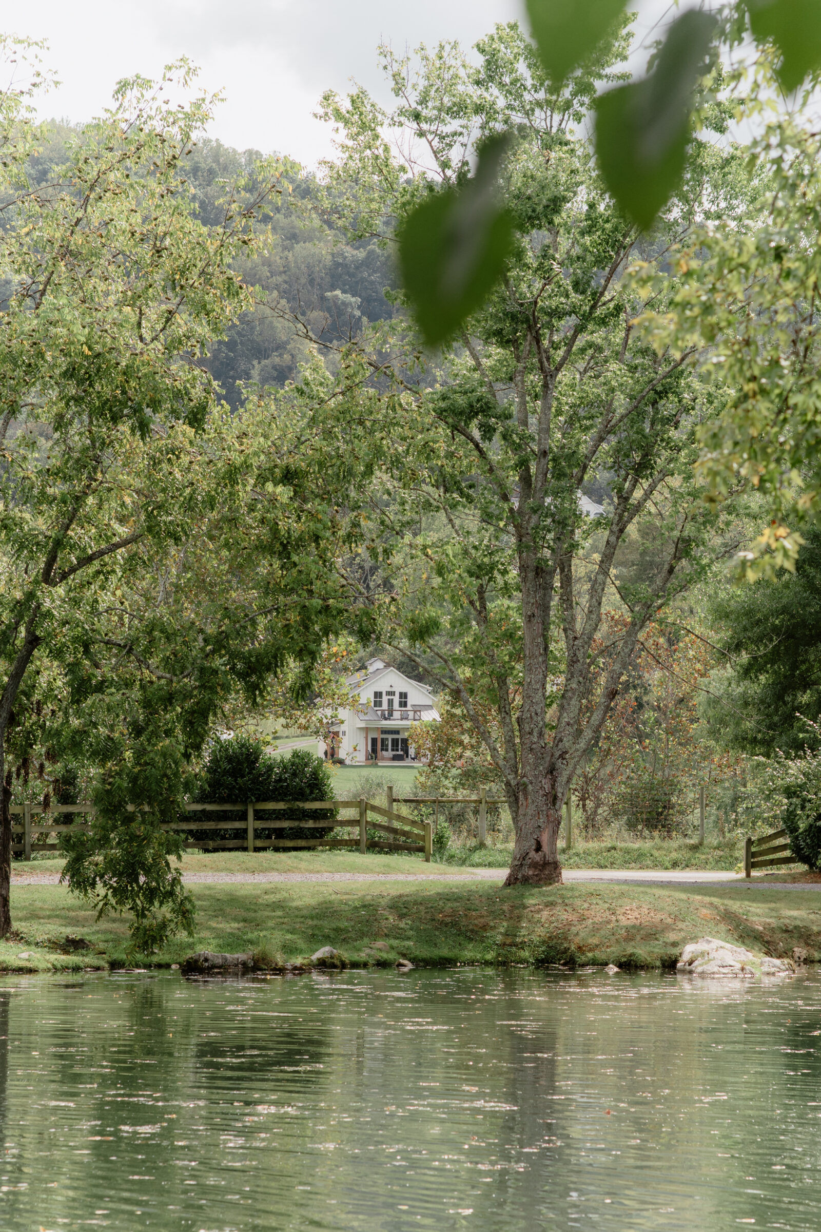 Scenic pond and countryside at a wedding venue in Lexington, VA