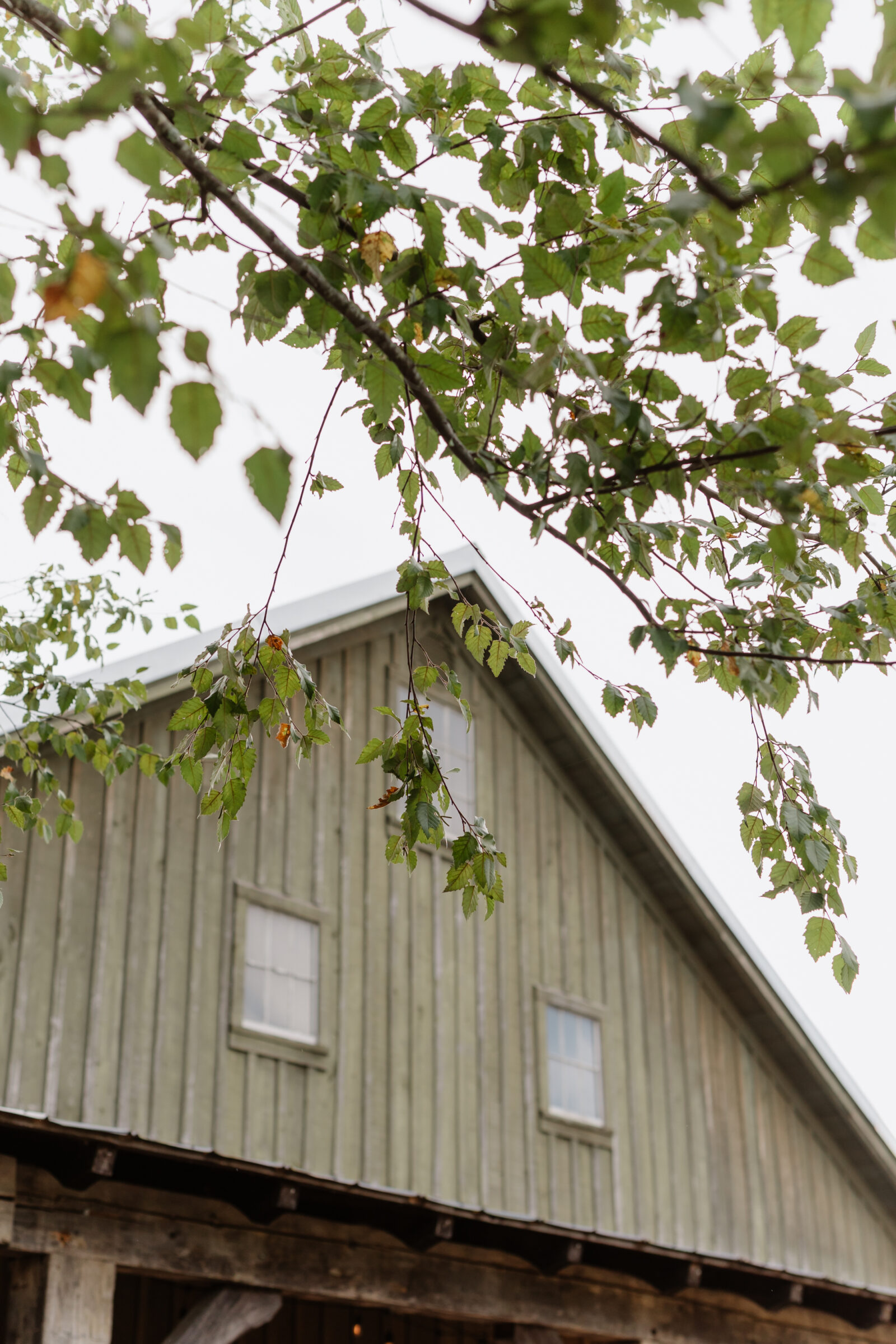 Barn exterior of a wedding venue in Lexington, VA framed by tree branches