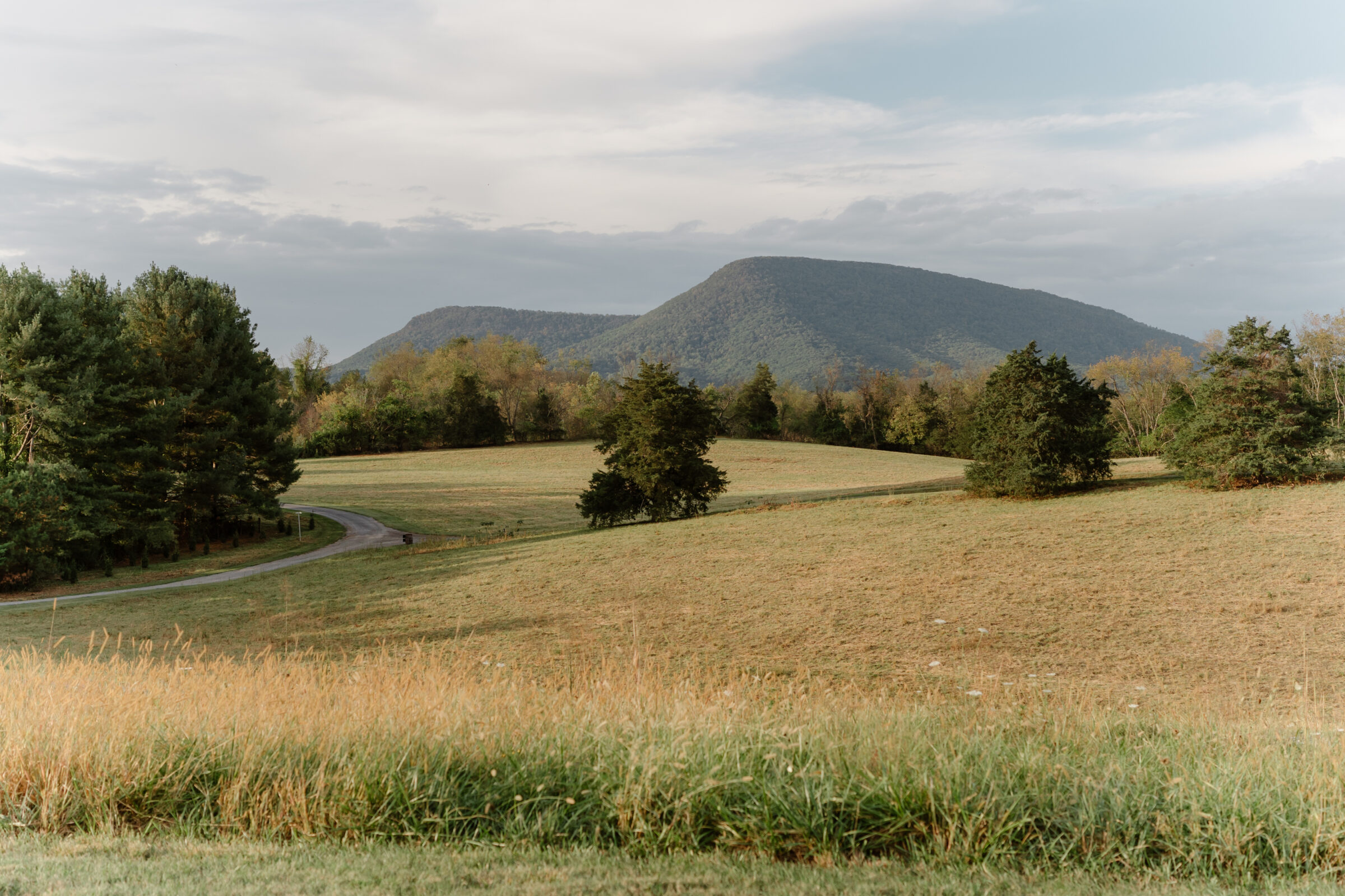 Mountain views and rolling fields at Big Spring Farm wedding venue in Lexington, VA