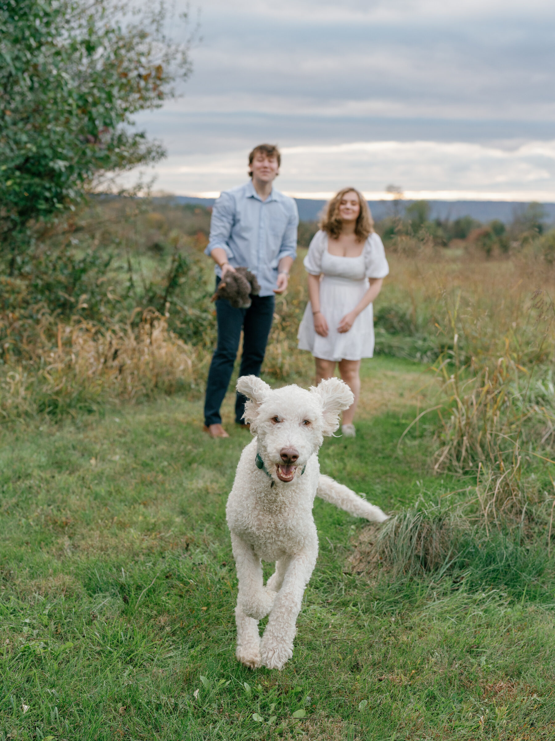 Lovettsville VA Wedding Photographer | Couple laughing as their dog runs toward the camera during an at-home engagement session in Lovettsville, Virginia