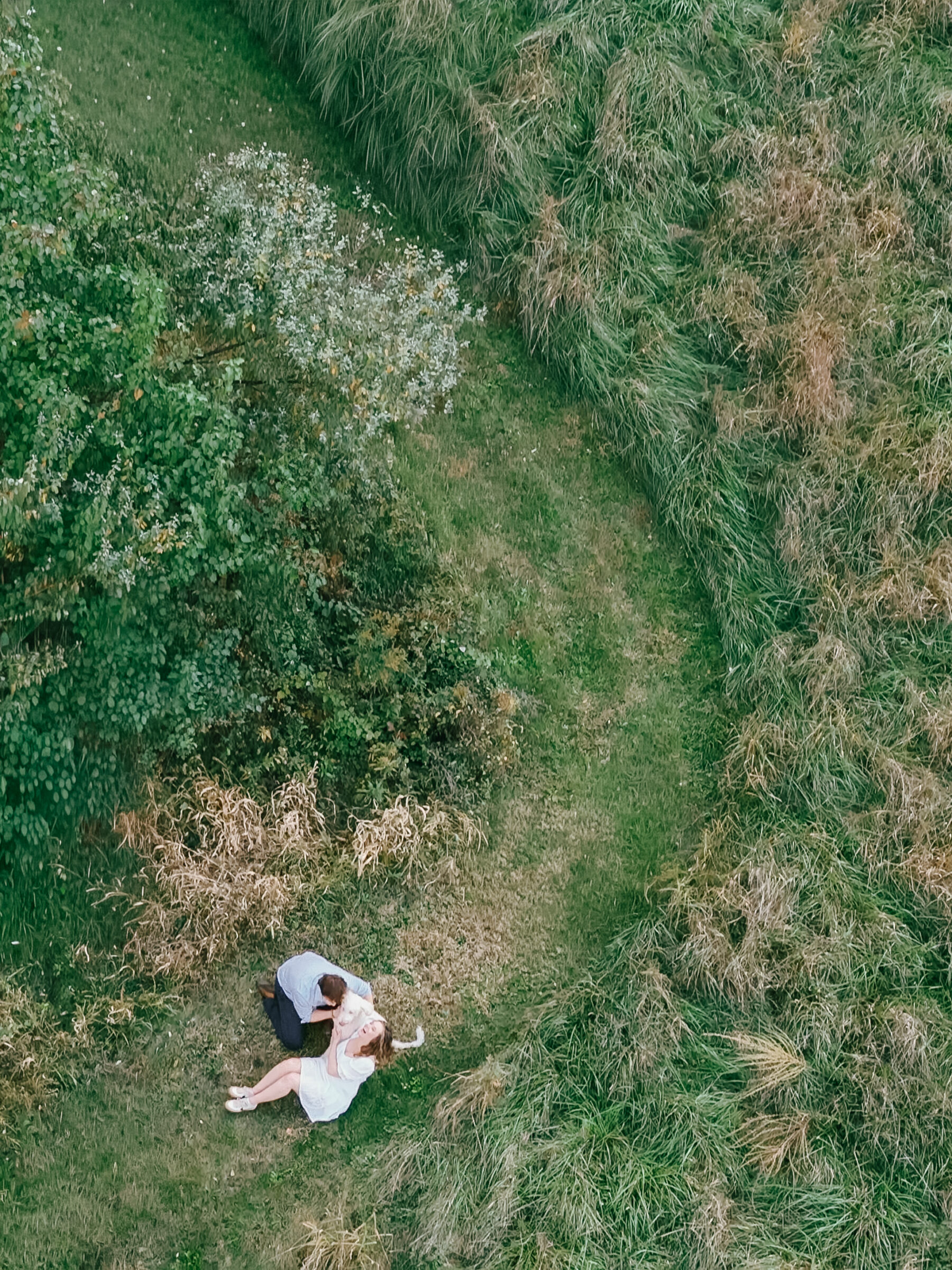 Lovettsville VA Wedding Photographer | Aerial view of an engaged couple sitting together on a grassy path during an at-home engagement session in Lovettsville, Virginia