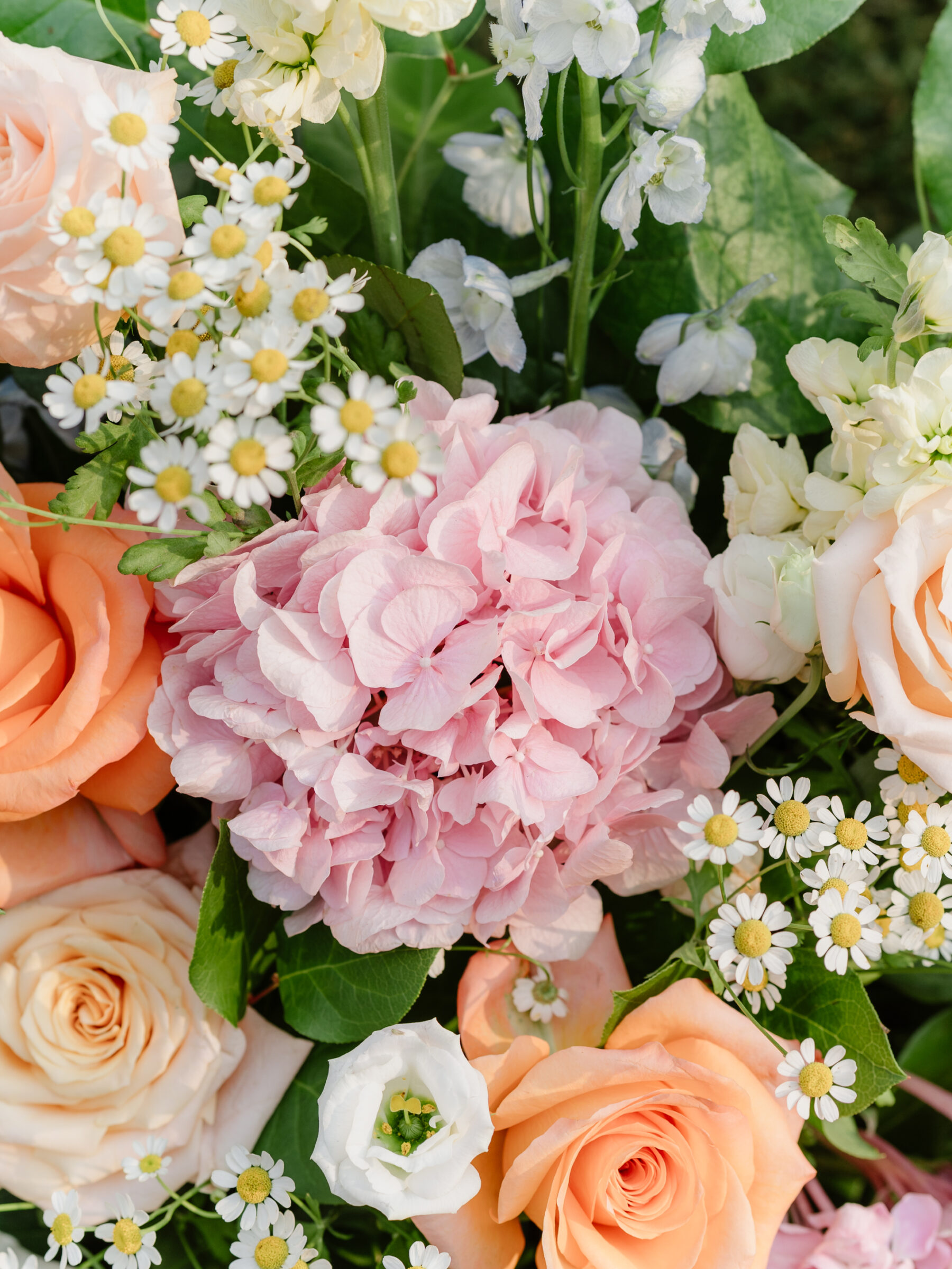 Close-up of colorful wedding flowers with pink hydrangeas, peach roses, chamomile, and white blooms.